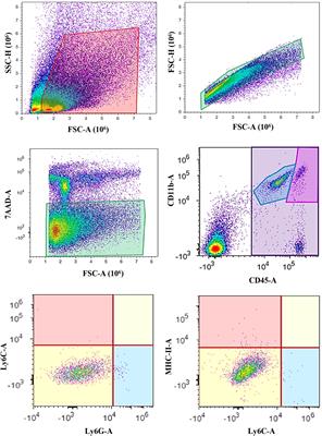 Proposed practical protocol for flow cytometry analysis of microglia from the healthy adult mouse brain: Systematic review and isolation methods’ evaluation